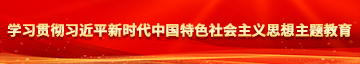 操性奴美女的网站学习贯彻习近平新时代中国特色社会主义思想主题教育